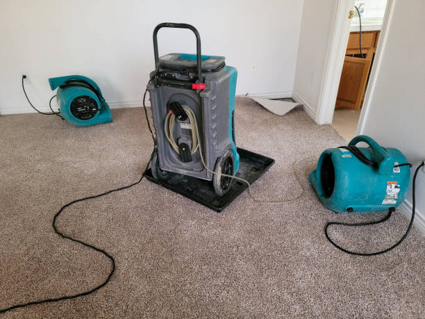 Best Water damage contractors near me  in Lake Jackson, TX