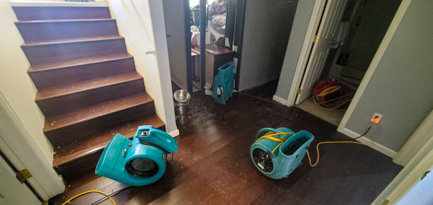 Best Water damage restoration experts  in Lake Jackson, TX