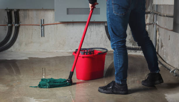  Lake Jackson, TX Water damage restoration Pros