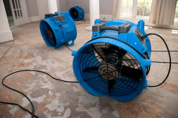 Reliable Lake Jackson, TX Water damage restoration Solutions