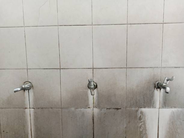 Best Flood restoration services  in Lake Jackson, TX