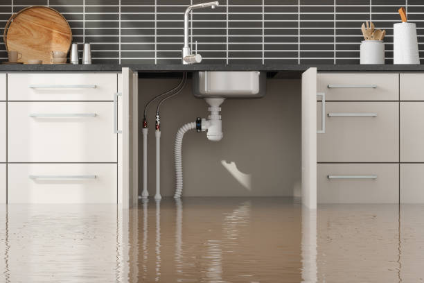 Best Water damage contractors near me  in Lake Jackson, TX