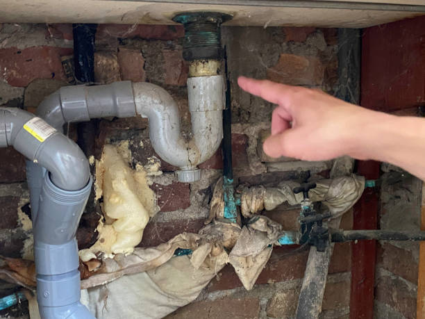 Best Water damage restoration near me  in Lake Jackson, TX
