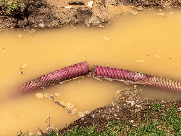 Best Water damage restoration near me  in Lake Jackson, TX