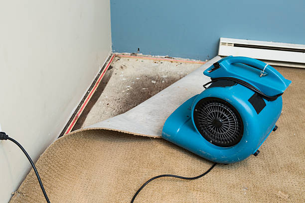 Best Ceiling water damage repair  in Lake Jackson, TX